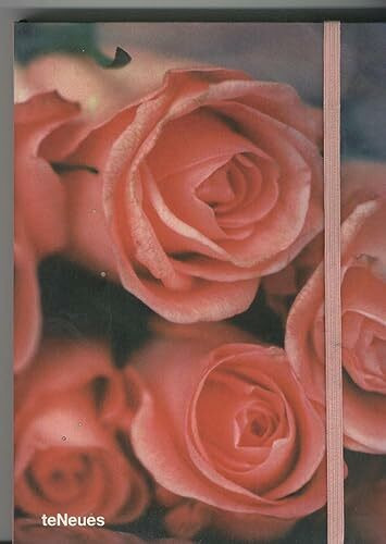 Jill freedman roses liv bl sans ligne