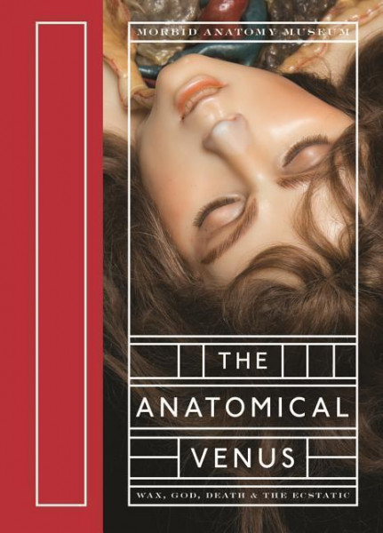 The Anatomical Venus: Wax, God, Death & the Ecstatic