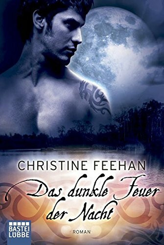 Das dunkle Feuer der Nacht