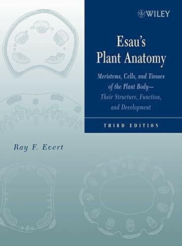 Esau's Plant Anatomy: Meristems, Cells, and Tissues of the Plant Body: Their Structure, Function, and Development