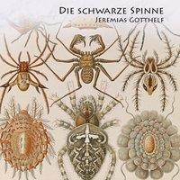 Die schwarze Spinne