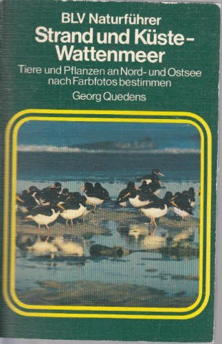 Strand und Küste - Wattenmeer.