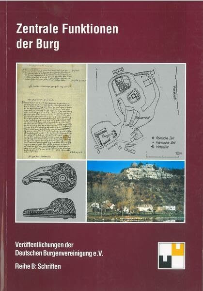 Zentrale Funktionen der Burg (Veröffentlichungen der Deutschen Burgenvereinigung: Reihe B: Schriften)