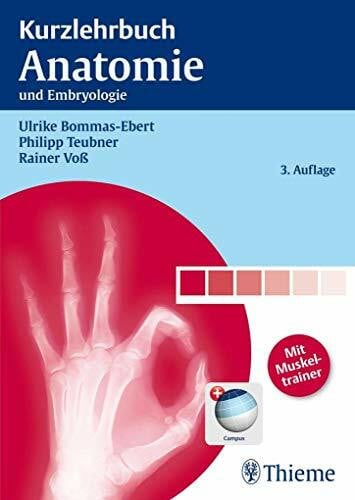 Kurzlehrbuch Anatomie: und Embryologie