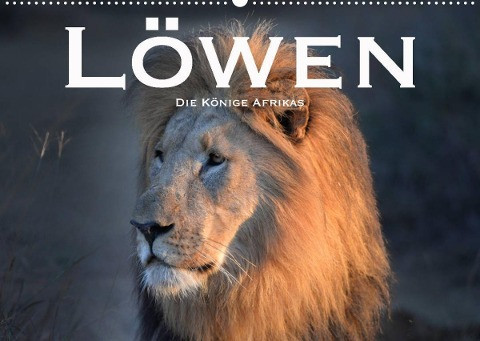 Löwen. Die Könige Afrikas (Wandkalender 2023 DIN A2 quer)