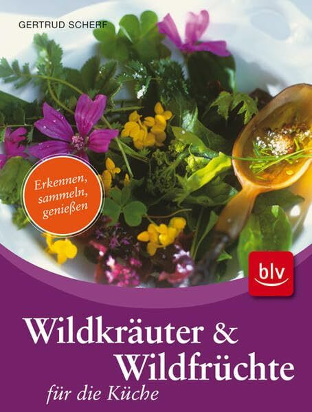 Wildkräuter & Wildfrüchte für die Küche: Erkennen, sammeln, genießen