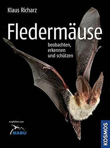 Fledermäuse beobachten, erkennen und schützen: Beobachten, erkennen und schützen