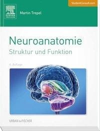 Neuroanatomie