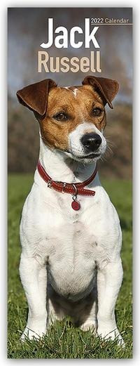 Jack Russell Terriers 2022. Slimline Calendar