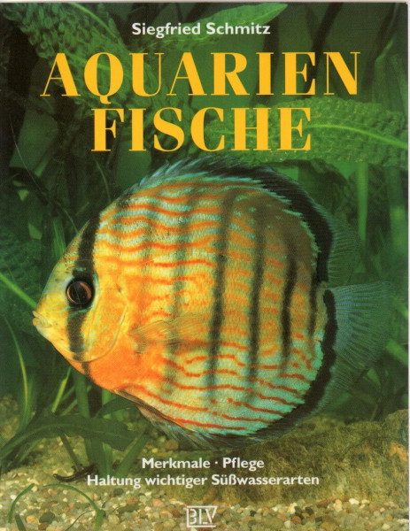 Aquarienfische: Merkmale, Pflege, Haltung wichtiger Süsswasserarten