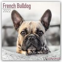 French Bulldogs - Französische Bulldoggen 2022 - 18-Monatskalender mit freier DogDays-App