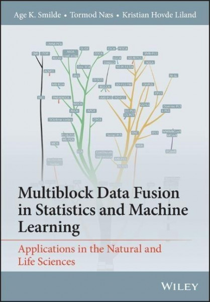 Multiblock Data Fusion in Statistics and Machine Learning