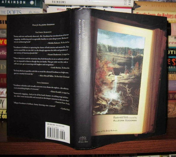 Kaaterskill Falls: A Novel
