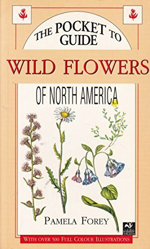 Pocket Guide to Wild Flowers of North America