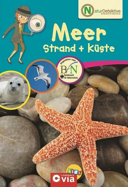 Naturdetektive: Meer, Strand & Küste: Wissen und Beschäftigung für kleine Naturforscher (Naturdetektive: Wissen und Beschäftigung für kleine Naturforscher ab 6 Jahren)