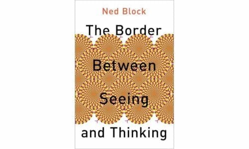 The Border Between Seeing and Thinking: A Chronical of 500 Days (Philosophy of Mind)
