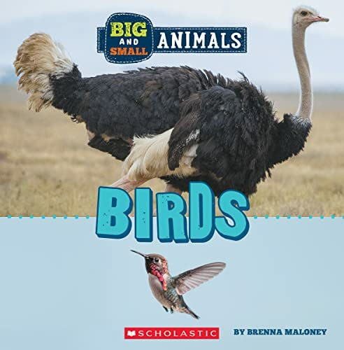 Birds (Big and Small Animals)