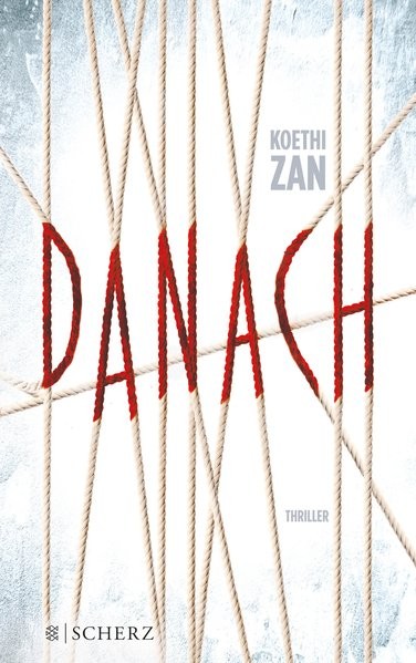 Danach: Thriller (Belletristik (allgemein))