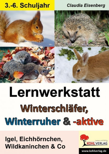 Winterschläfer, Winterruher & -aktive Igel, Eichhörnchen, Wildkaninchen & Co.