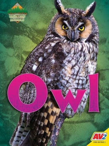 Owl (Backyard Animals) Owl (Backyard Animals)
