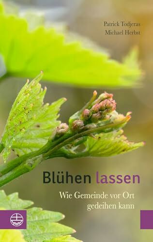Blühen lassen: Wie Gemeinde vor Ort gedeihen kann