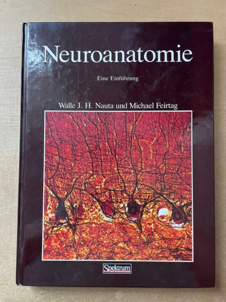 Neuroanatomie