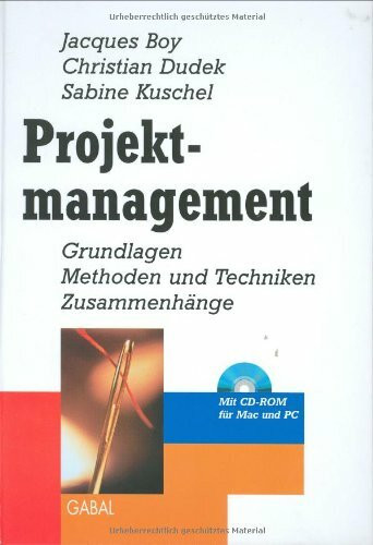 Projektmanagement. Grundlagen, Methoden und Techniken, Zusammenhänge