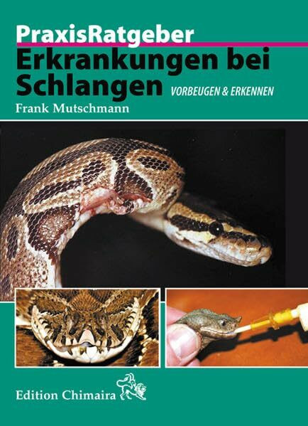 Erkrankungen bei Schlangen: Vorbeugen und erkennen: Vorbeugen & erkennen (Praxis Ratgeber)