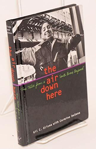 The Air Down Here: True Tales from a South Bronx Boyhood