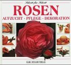 Rosen: Aufzucht, Pflege, Dekoration