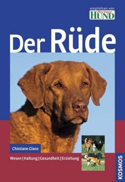 Der Rüde: Wesen, Haltung, Gesundheit, Erziehung