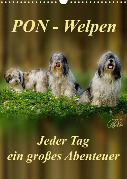 PON-Welpen - jeder Tag ein großes Abenteuer / Planer (Wandkalender 2022 DIN A3 hoch)