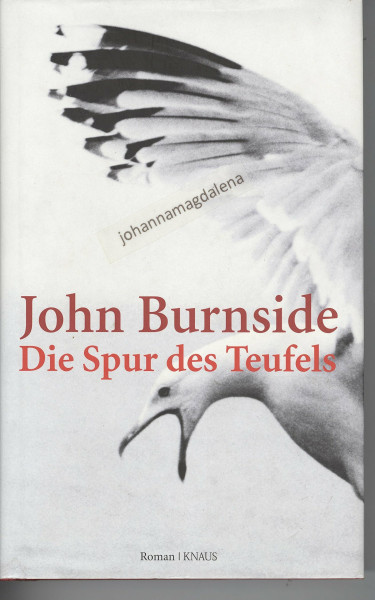 Die Spur des Teufels: Roman