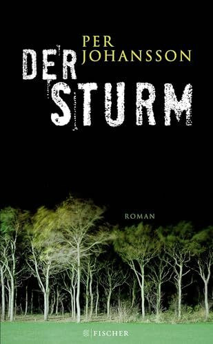 Der Sturm: Roman (Fischer HC)