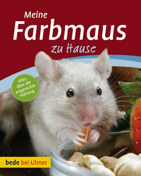 Meine Farbmaus zu Hause: Alles über die artgerechte Haltung
