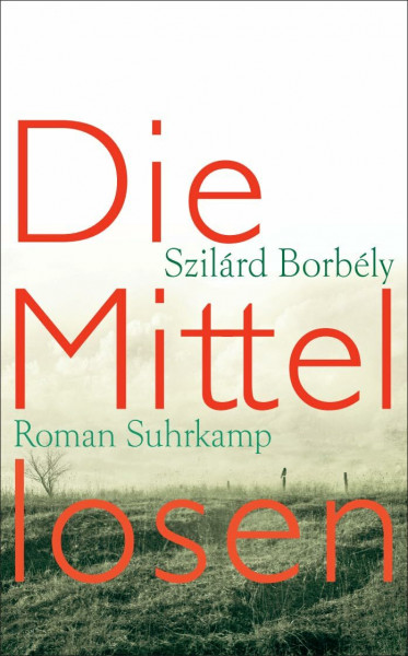 Die Mittellosen: Roman (suhrkamp taschenbuch)