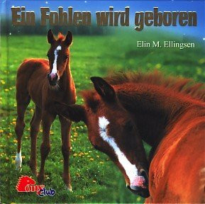 Ein Fohlen wird geboren.