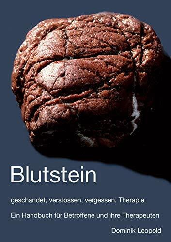 Blutstein - geschändet, verstossen, vergessen, Therapie: Ein Handbuch für Betroffene und ihre Therapeuten
