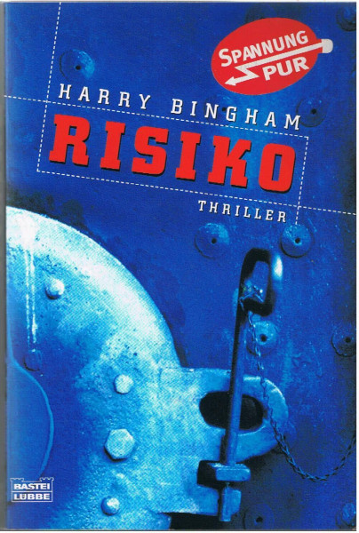 Risiko (Allgemeine Reihe. Bastei Lübbe Taschenbücher)
