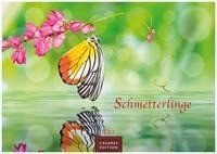 Schmetterlinge 2023 S 24x35cm