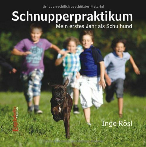 Schnupperpraktikum: Mein erstes Jahr als Schulhund