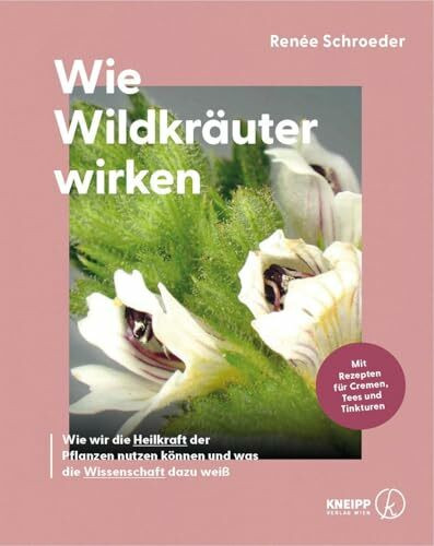 Wie Wildkräuter wirken: Wie wir die Heilkraft der Pflanzen nutzen können und was die Wissenschaft dazu weiß