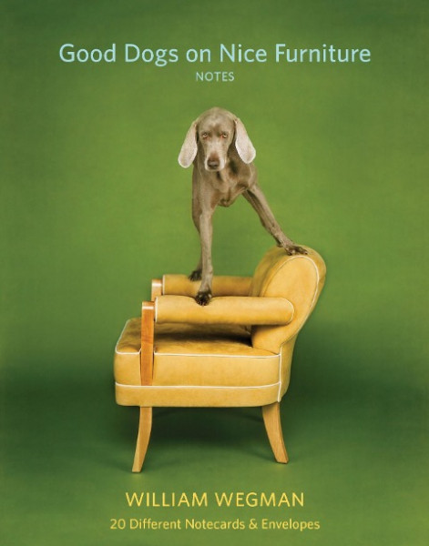 Good Dogs on Nice Furniture Notes: 20 Different Notecards & Envelopes [With Envelope]