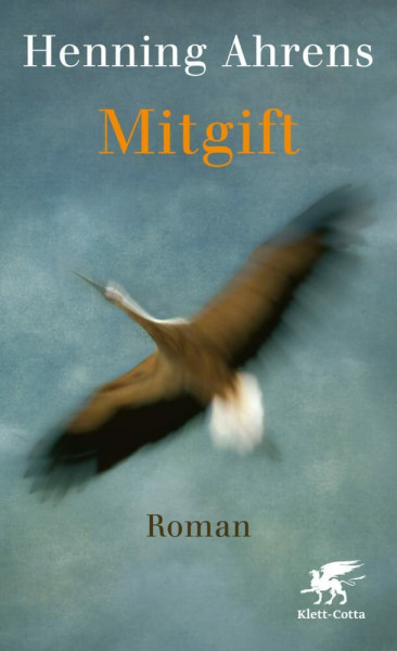 Mitgift: Roman