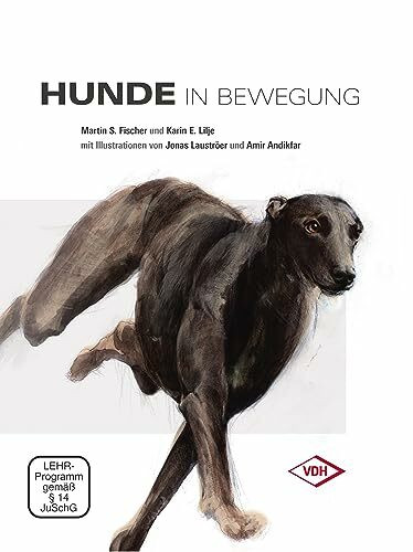 Hunde in Bewegung