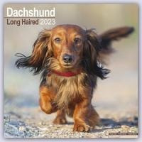 Longhaired Dachshund - Langhaardackel 2023 - 16-Monatskalender