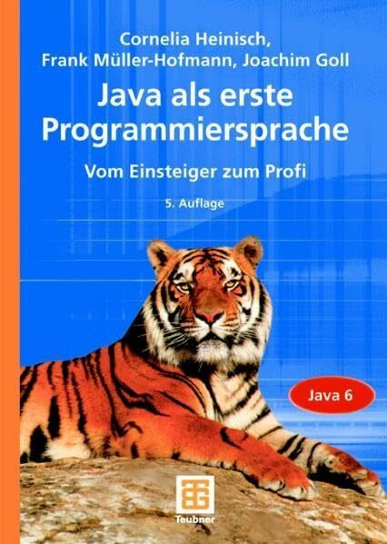 Java als erste Programmiersprache: Vom Einsteiger zum Profi