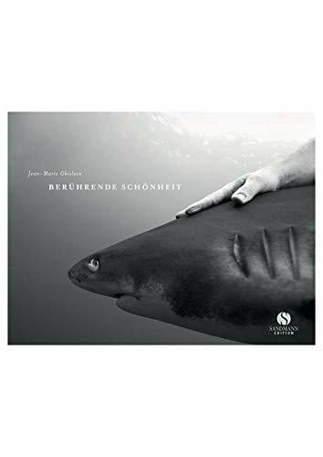 Berührende Schönheit: Die faszinierenden Fotografien des Haiflüsterers Berührende Schönheit: Die faszinierenden Fotografien des Haiflüsterers