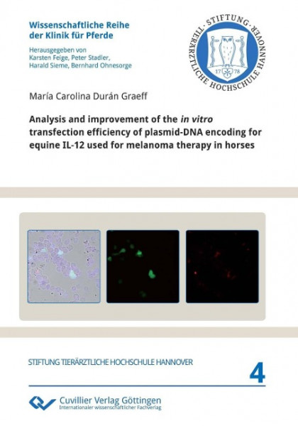 Analysis and improvement of the in vitro transfection efficiency of plasmid-DNA encoding for equine