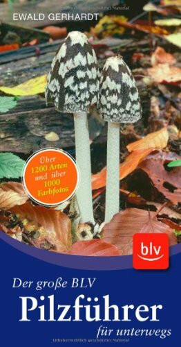 Der große BLV Pilzführer für unterwegs: Über 1200 Arten und über 1000 Farbfotos